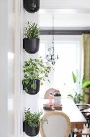 Be mindful that the planter does not have a drain hole, and if the reservoir floods it may drown the roots. How To Create A Modern Kitchen Herb Garden
