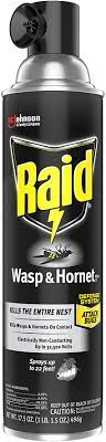 Amazon Com Raid Wasp And Hornet Killer 17 5 Oz Pack Of 3 Health Personal Care
