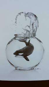 Reddit What Do You Think Of My Friend S Drawing Drawings Of Friends Whale Art Whale Drawing