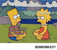 She's vulnerable but guarded, moody but dependable, and terrified of change but extremely adaptable. 25 Cancer Season Memes That You Ll Find Astonishingly Relatable