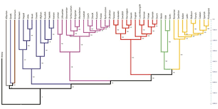 The armenian abyssal tree (andndayin caṙ) and the rigvedic cosmic tree (rv 1.24.7). Figure S1 Indo European Language Tree Download Scientific Diagram