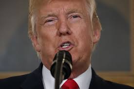 Image result for donald trump