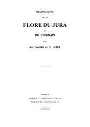 Image result for Rhynchosia pseudoviscosa