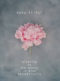 Pink Rose Quote Flower Quotes Pink Beautiful