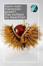 Kann Man Kastanien Essen Das Sollten Sie Beachten Kastanien Essen Essen Kastanien