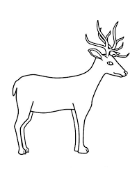 The spruce / ashley deleon nicole these free pumpkin coloring pages will be sna. Drawing Deer 2609 Animals Printable Coloring Pages