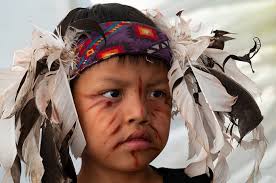 Photosynthesis set for 25th anniversary show