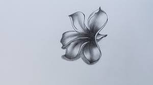 196 best plumeria images in 2019 beautiful flowers hawaiian from drawings of plumeria flowers. How To Sketch Plumeria Youtube