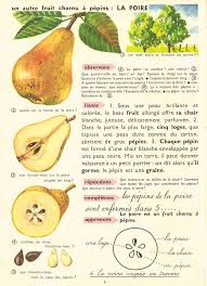 Nath Choses P3 Learn French Fruit French Language