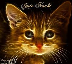 die etwas andere gb bilder seite gute nacht katze gute nacht gute nacht bilder