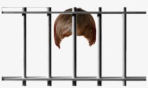 That you can download to your computer and use in your designs. Overlayrecorder Transparent Jailbar Overlay Jail Bar Clipart 1020x554 Png Download Pngkit