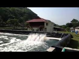 Tambak Udang Vaname Supra Intensif Indonesia Di Barru Youtube