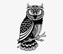Fondo de pantalla de gatito. Negro Blanco And Buho Image Owl Drawing Free Transparent Png Download Pngkey