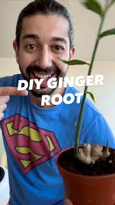 Powerful homemade plant growth booster!🌱 #plants #planttips #plantsof...