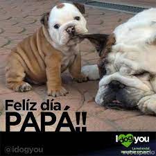 Aquí los mejores memes para celebrar a la figura paterna que le gusta ver a sus hijos, así como aquellos que le un día de 1910, sonora, estaba escuchando un sermón por el día de la madre y pensó que los padres también merecían su día, pues como el suyo, había muchos que se. Top 20 Memes Mas Divertidos Por El Dia Del Padre