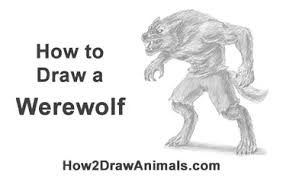 We did not find results for: How To Draw A Werewolf