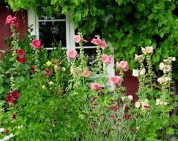 Country garden ideas and designs are often characterized by garden rooms enclosed with hedges. English Country Garden Design Top 10 Cottage Garden Plants Flowers