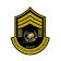 Protection Enforcement Agency LLC logo