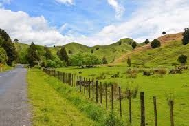 Entdecken sie die natur mit dem fahrrad, im kajak, zu fuß, oder in einem jet boot und freuen sie sich über die. Forgotten World Highway Neuseeland Franks Travelbox