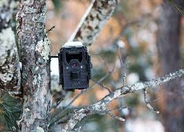 3 best motion sensor hunting trail cameras reviews. 13 Best Trail Cameras For Wildlife Photography Reviews Comparisons Click Like This