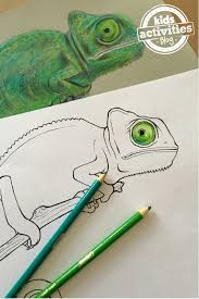 Make your world more colorful with printable coloring pages from crayola. Chameleon Coloring Pages For Kids