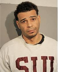 ᐅ Illinois Criminal Records 2009-2025