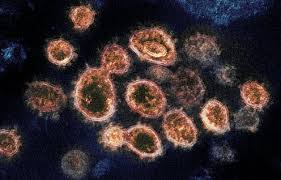 Recently, a variant from brazil has received attention. Uk South African Brazilian A Virologist Explains Each Covid Variant And What They Mean For The Pandemic