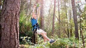 Viper Deluxe Backyard Zip Line Kit Diy Zipline Zip Line Kits Ziplining