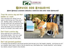 Service Dog Etiquette Do You Know How To Act Around A Service Dog And Their Handler Service Dogs Quotes Psychiatric Service Dog Service Dogs Gear