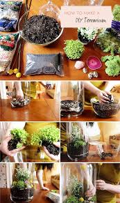 How To Make A Diy Terrarium Materials The Project Can Be Completed From Start To Finish Including Clean Up In How To Make Terrariums Terrarium Diy Terrarium