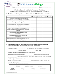 State whether these mechanisms are passive or active (ie use energy or not). Diffusion Osmosis And Active Transport Worksheet Pages 1 4 Flip Pdf Download Fliphtml5