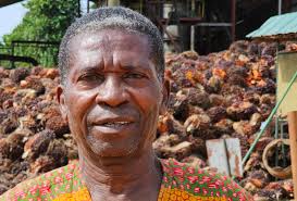 Access to Finance Drives Sustainable Agriculture: David Amoamah's Story