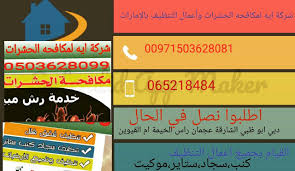 شركة مكافحه حشرات بالشارقة دبي عجمان شركة اية 00971503628081 شركة تنظيف في دبي شركة تنظيف في ابوظبي شركة تنظيف راس الخيمة شركة تنظيف في العين شركة تنظيف ف
