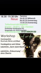 Roxheimer Hundesalon UG