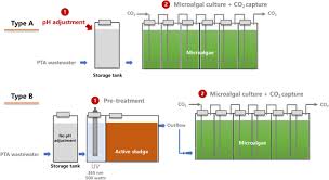 Pimpa, b., muhammad, s.k.s., hassan, m.a., ghazali, z., hashim, k. Recent Advances In Carbon Capture Storage And Utilisation Technologies A Review Springerlink