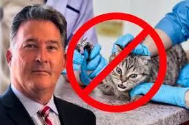 Onset Man Generously Pays Cat's Adoption Fee at Bourne Pet Store