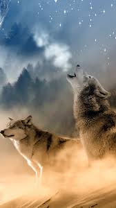 If you're in search of the best wolf wallpapers, you've come to the right place. Wolf Iphone Wallpapers