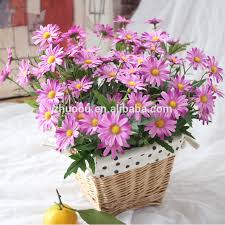 We did not find results for: Zero Home Decoration Artificial Chamomile Flowers Silk Fake 9 Forks Mum Flowers Daisy Flowers Artificial Buy Artificial Chamomile Flowers Artificial Mum Flowers Artificial Daisy Flowers Product On Alibaba Com