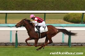 父名 グラスワンダー 母父名 スペシャルウィーク の競走馬検索 競馬データベース Netkeiba Com