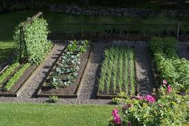 Half Of The Whole Garden Layout Vegetable Garden Design Plants