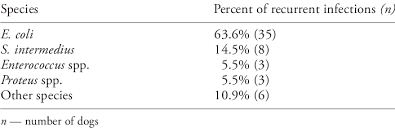 Bacteria Isolated From Dogs With Recurrent Urinary Tract Infections Download Table