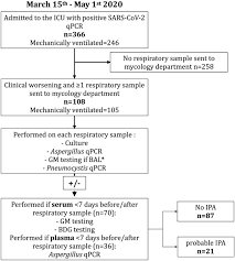 As with other forms of aspergillosis, the general symptoms of ia, primarily fever, chest pain, cough in nonpulmonary forms of the disease, e.g., rhinosinusitis or cerebral aspergillosis, a ct scan can. Risk Factors Associated With Covid 19 Associated Pulmonary Aspergillosis In Icu Patients A French Multicentric Retrospective Cohort Clinical Microbiology And Infection