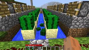 This is great, because you can plan out exactly how many cacti to place so the final one will kill the mob, and the items will still flow out the end. Minecraft Cactus Farm Using Pistons Youtube