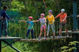 Try a restaurant with an. Club Mahindra Membership Is A Smarter Option For The Financially Savvy Traveller Times Of India