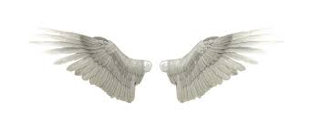 Deviantart Angel Heaven Angel Wings Png Download 1951 850 Free Transparent Deviantart Png Download Clip Art Library