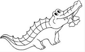 نتيجة بحث الصور عن تمساح رسم Animal Coloring Pages Dolphin Coloring Pages Cartoon Coloring Pages