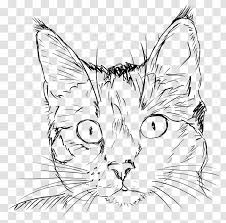 Feel free to explore, study and enjoy paintings with paintingvalley.com Cat Drawing Kitten Line Art Tabby Face Transparent Png