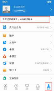 登录手机支付宝应用程序 点击 我的 点击 请完成实名认证 https www chenweiliang com icon