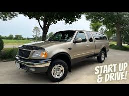 Image result for Chestnut 2000 F150