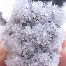 Este o planta foioasa, cu tulpini spinoase si frunze de verzi cu flori de culoare rosu inchis. Elverostore Sunt Numite Generic Flori De MinÄ Insa